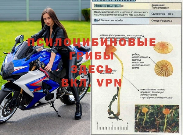 трава Михайлов