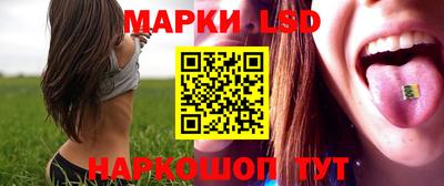 гашик Донецк