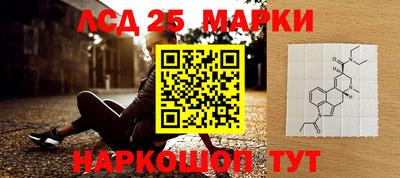 индика Дубна