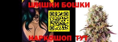 гашик Донецк