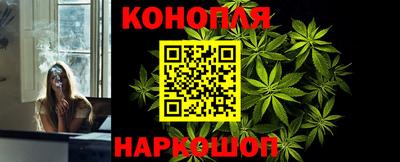 индика Дубна