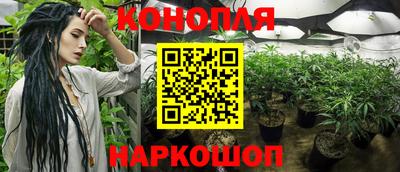 дживик Берёзовский