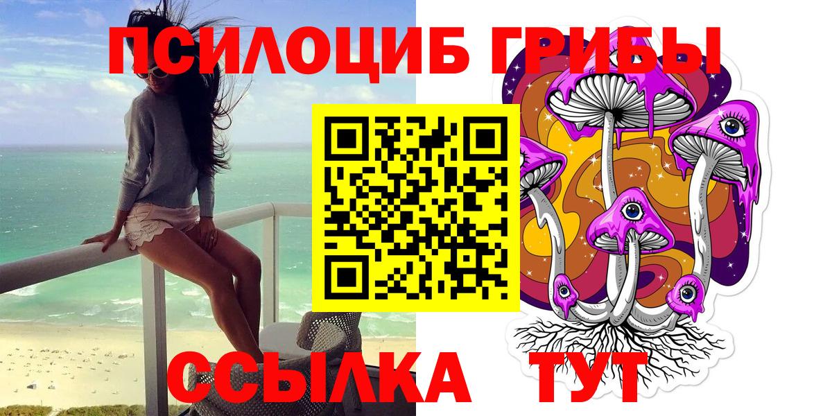 Лянтор  Псилоцибиновые грибы Psilocybe  Вход с VPN  Псилоцибиновые грибы Psilocybe 