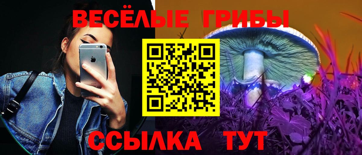 Галлюциногенные грибы GOLDEN TEACHER Лянтор